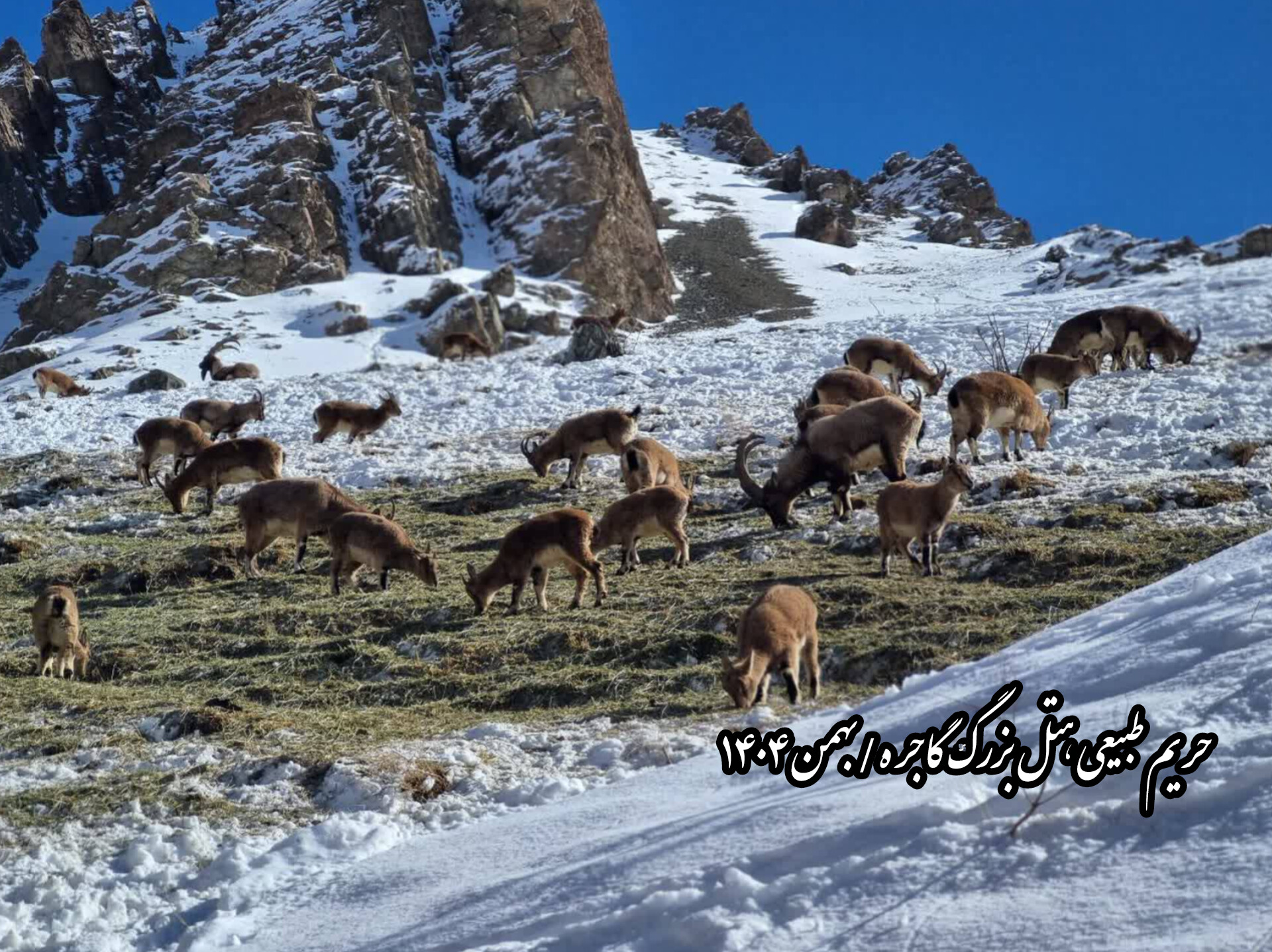 هتل بزرگ گاجره؛ پیوند هوشمندانه گردشگری سبز با حفاظت از طبیعت کوهستانی ایران